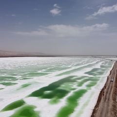 乌素特水上雅丹梦幻星空野奢度假酒店·雅丹之夜 User Photo