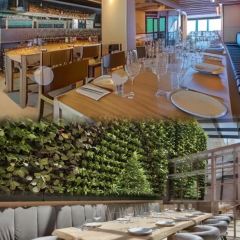 Hammett's Monastik User Photo