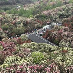 烙鍋小院張用戶圖片