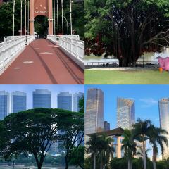 Jiuhaozizhuzhongcan (daminglu) User Photo