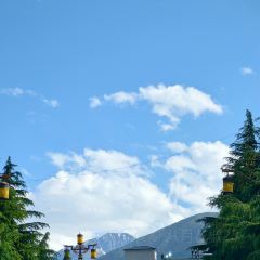 猫屎咖啡(天全服务区店) User Photo