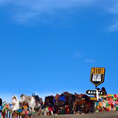 猫屎咖啡(天全服务区店) User Photo