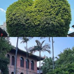 宣和一味（融僑中心店）張用戶圖片