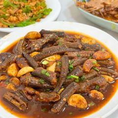 ZHI HUA FAN DIAN User Photo