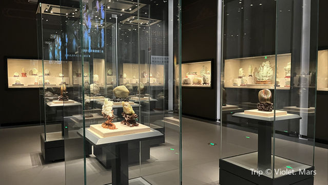 xin jiang di zhi kuang chan bo wu guan