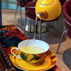 VanGogh Fans Café User Photo