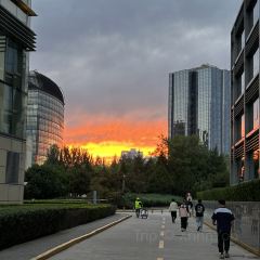 花园农屋 User Photo