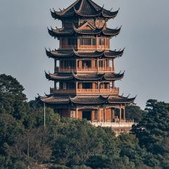 D diao bar User Photo