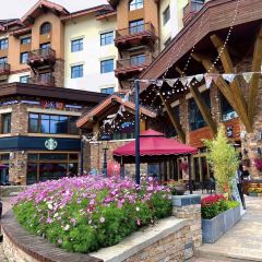 DA WEI ROAST WHOLE LAMB User Photo