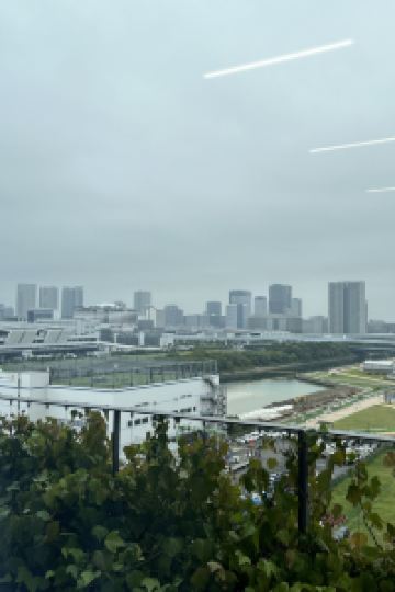 M849996**** レムプラス銀座 クーポン