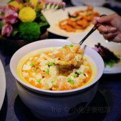 STAR OF PU User Photo