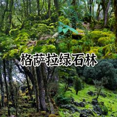 XIONG ER CHANG SHAO KAO User Photo