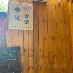 杏花食堂 User Photo
