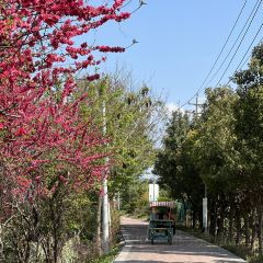 Longxiangdaolongjiangxiaoyuan User Photo