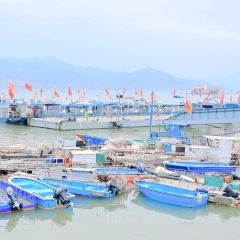 宁海强蛟镇峡山包船75号船 User Photo