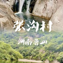 张沟农家乐8号 User Photo
