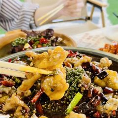 酒窝小院 User Photo