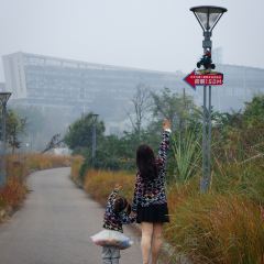 简阳三岔湖长岛天堂洲际酒店·龙轩中餐厅 User Photo