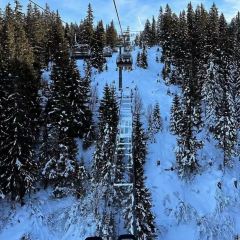 Berggasthof Sonnbuhel 여행 사진
