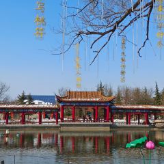 泉上农贸市场 User Photo