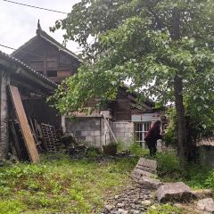 君健農家張用戶圖片