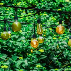 Manor Blanc User Photo