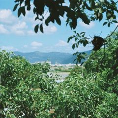 肥婆肥仔海鲜档(霞浦店) User Photo