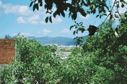 肥婆肥仔海鲜档(霞浦店)