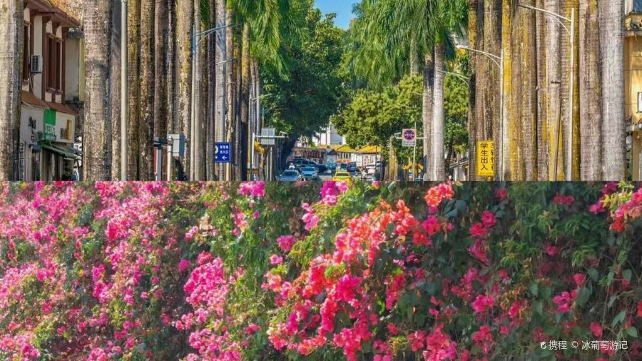 芒市天然活螃蟹