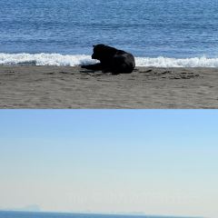 Old New Taiwanese Cuisine (Jiuru 2nd Road) User Photo