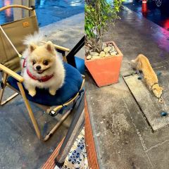 Som Som Seafood User Photo