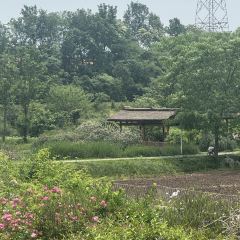 Ahnluh Guantang · All-Day Restaurant User Photo