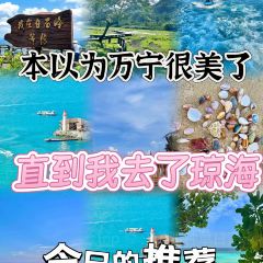 嘉積香萬裡美食城張用戶圖片