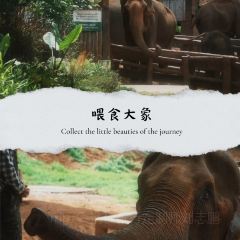 Elefin Farm & Cafe เอเลฟิน ฟาร์ม แอนด์ คาเฟ่ User Photo