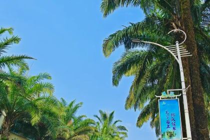 瑞丽活螃蟹(芒市店)