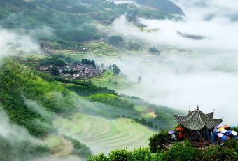 中原农家乐(中原饭店) User Photo