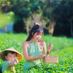 T三峰林茶谷野奢帐篷营地·T三茶宴 User Photo