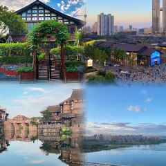 TOMATO MASTER User Photo