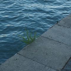 GuLangYu LiJiaZhuang XiuXian Coffee LvGuan User Photo