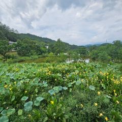 Sage Hall Homestay User Photo