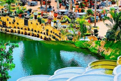 芋見張宜花園（鹽邊預告店）