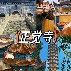 Haidailou Zhongshuge WHISKY BAR User Photo