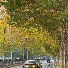 田小狗的饭店(碧桂园店) User Photo