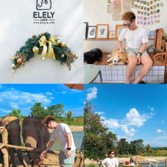 Elely Cafe’ แอลลี่ คาเฟ่張用戶圖片