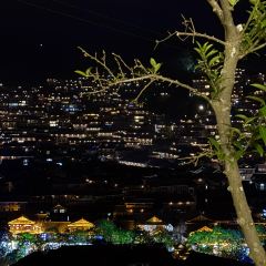 幽兰落 User Photo