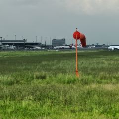 The Tshilli Farmstall with Queen and Irene張用戶圖片