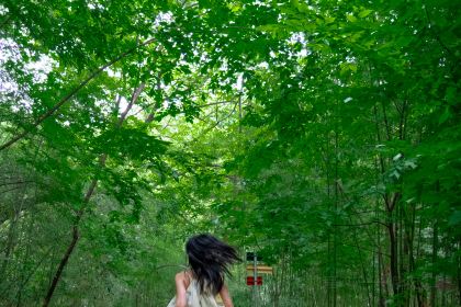 青芷森林·咖啡店