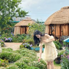 海如的花園張用戶圖片