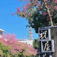 講口緣腸粉張用戶圖片