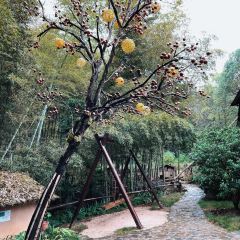 HUA XI LAO WU 여행 사진